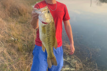 Load image into Gallery viewer, 6.5" Finesse worm (Toxic)